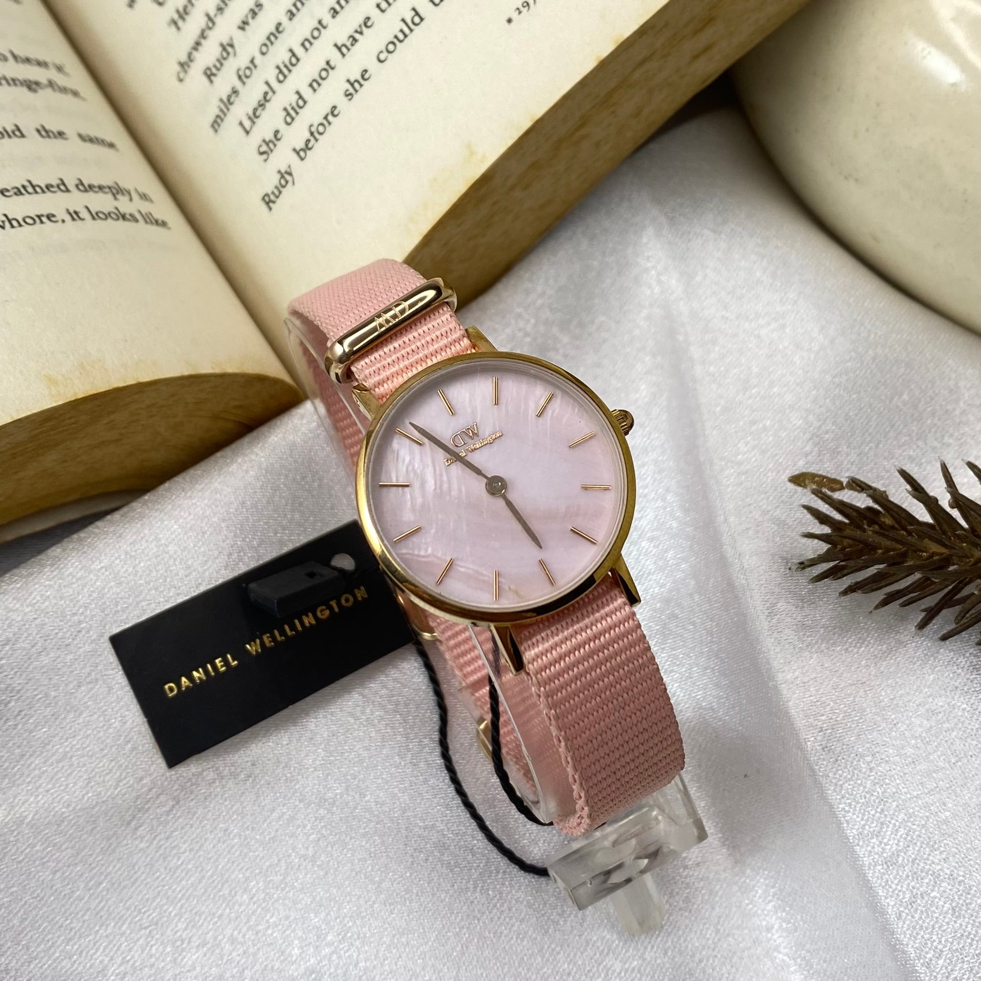 Petite Rosewater Gold Tone Watch (DW00100319)
