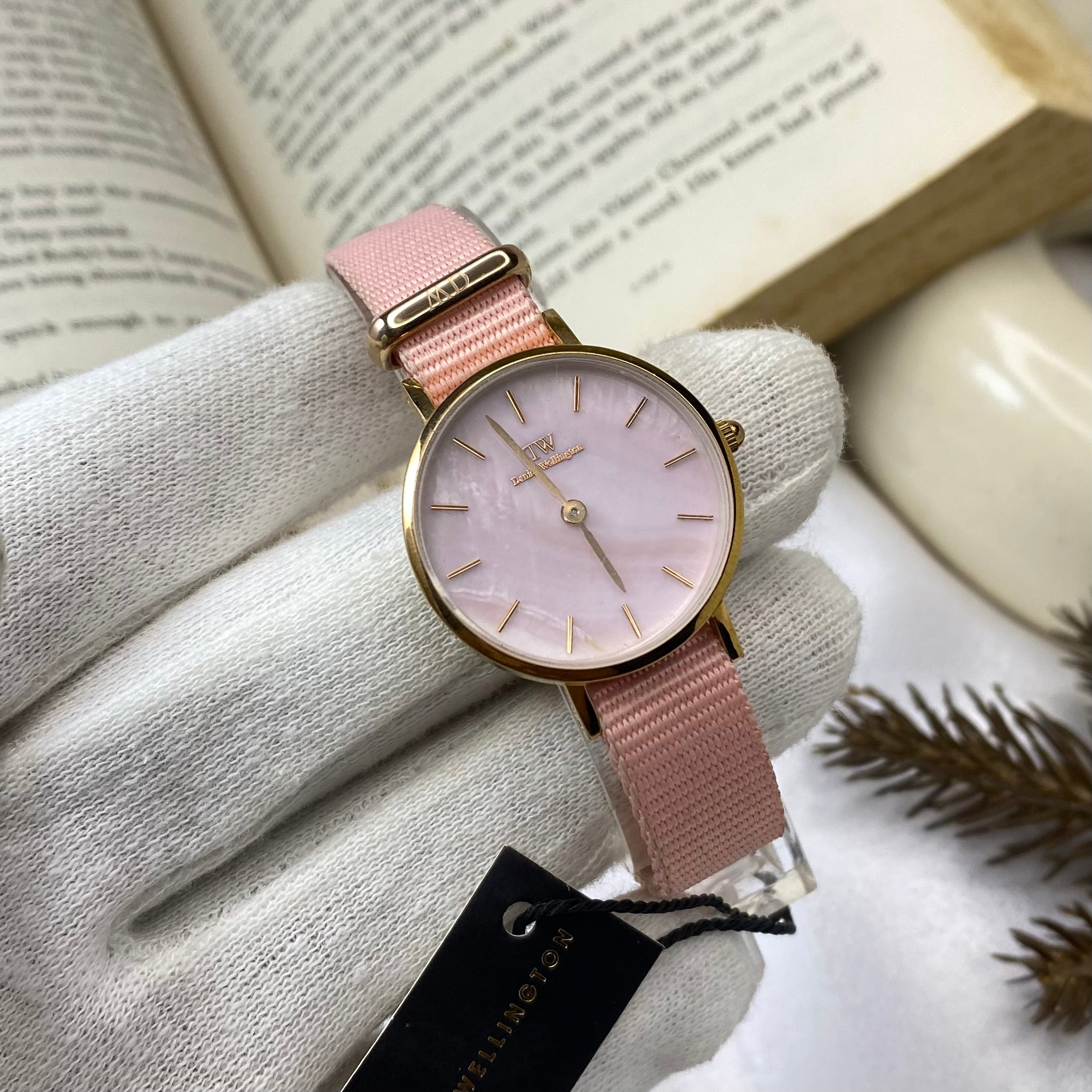 Petite Rosewater Gold Tone Watch (DW00100319)