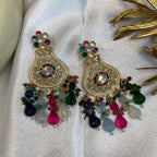 Traditional Multi colour Earrings