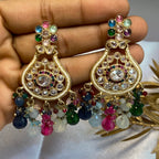 Traditional Multi colour Earrings