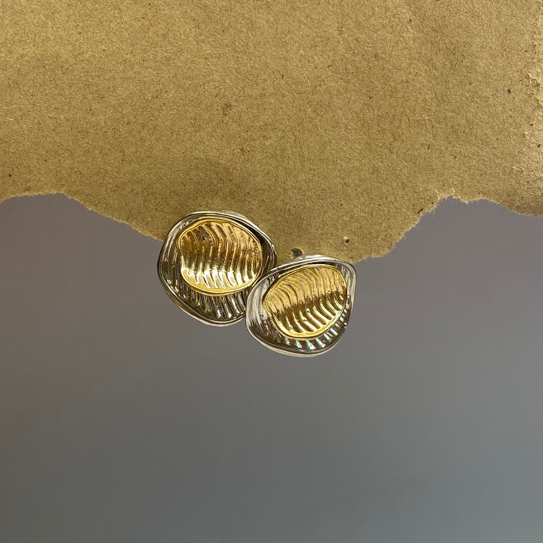 Antitarnish Dual Tone Earrings