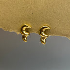 Antitarnish Earrings