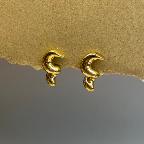 Antitarnish Earrings