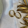 Antitarnish Earrings