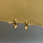 Antitarnish Earrings
