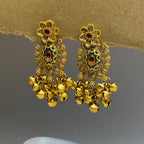 Kashmiri Earrings